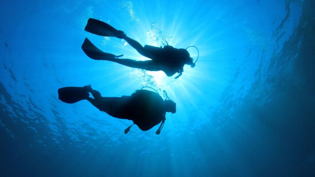 Scuba diving in Costa Rica's coral reef showcasing an ecosystem rich in biodiversity