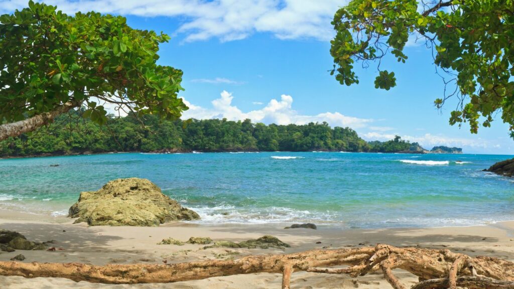 Idyllic Manuel Antonio beach, one of the tranquil beaches in Costa Rica with lush foliage