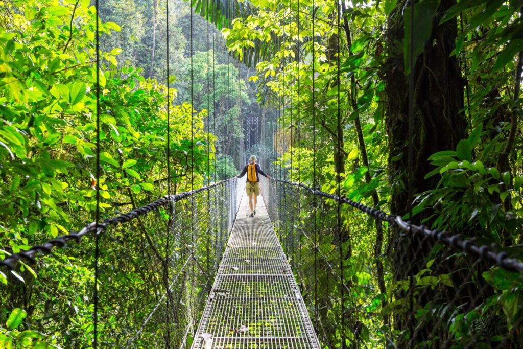 Expat Living a person walking on a suspension bridge in a lush rainforest, embracing the adventurous side of expat life