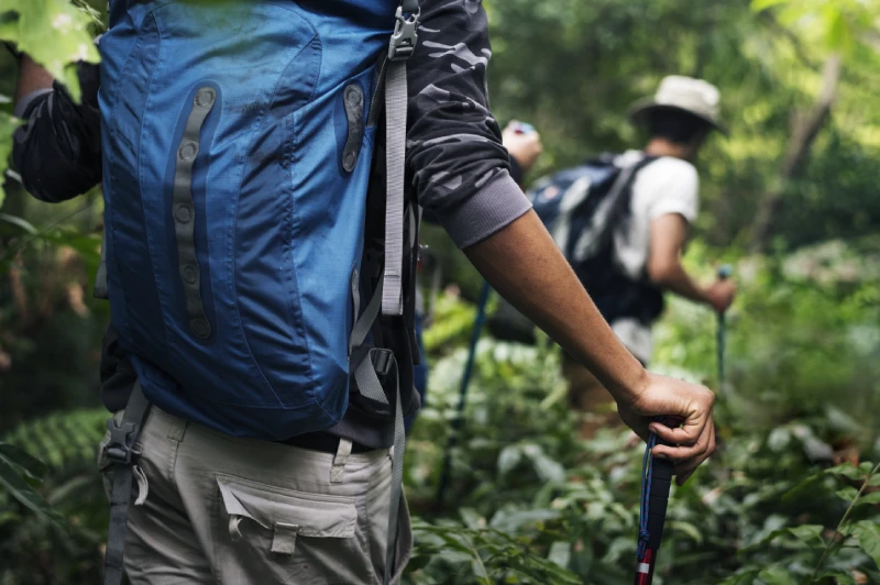 Group of hikers drinking water, monitoring signs of dehydration during a forest trek